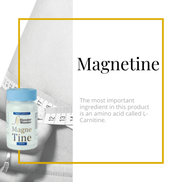 Magnetine