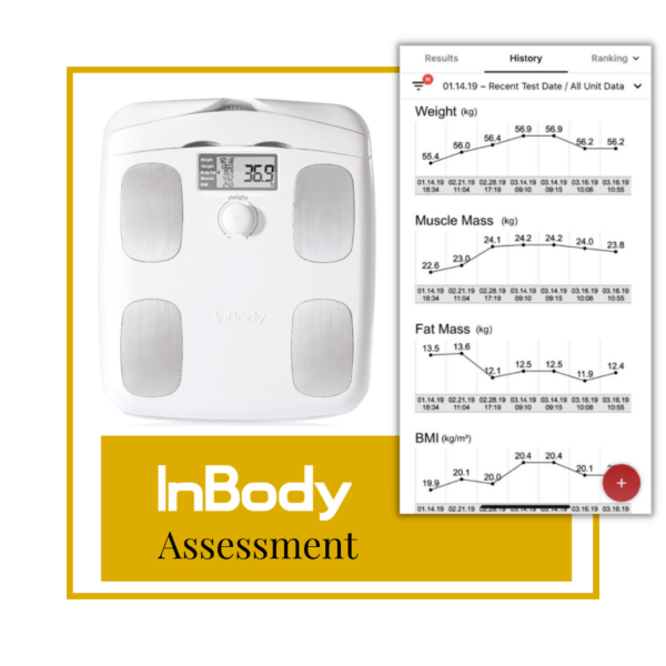 InBody Assessment and Anthropometrical Measurements